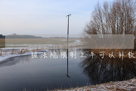 被法院限制上车可以补软卧吗 被法院限制上车可以补软卧吗