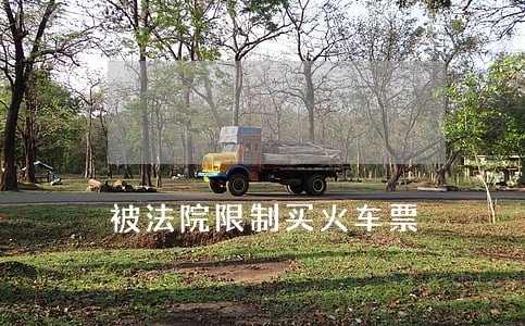 被法院限制买火车票 被法院限制买火车票
