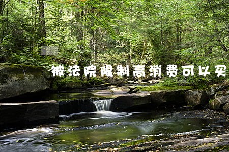 被法院限制高消费可以买豪车吗 被法院限制高消费可以买豪车吗