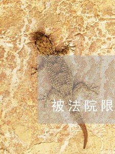 被法院限高能办签证吗 被法院限高能办签证吗