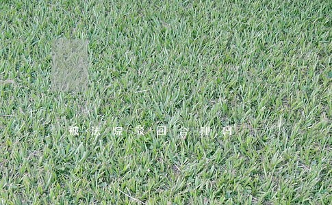 被法院驳回合理吗 被法院驳回合理吗