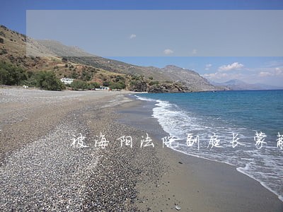 被海阳法院副庭长蒙蔽 被海阳法院副庭长蒙蔽
