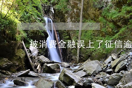 被消费金融误上了征信逾期 被消费金融误上了征信逾期
