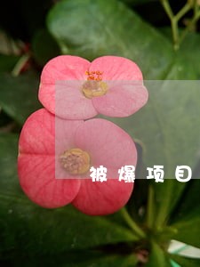 被爆项目逾期的平台 被爆项目逾期的平台