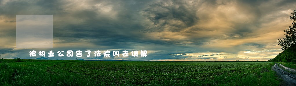 被物业公司告了法院叫去调解 被物业公司告了法院叫去调解
