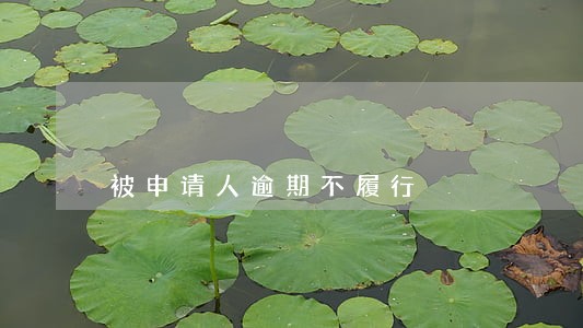 被申请人逾期不履行 被申请人逾期不履行