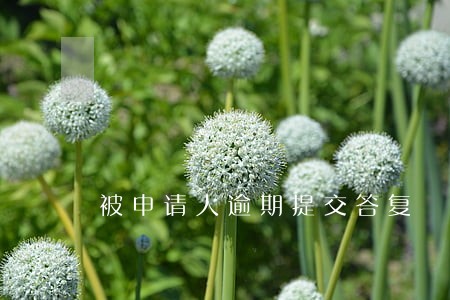 被申请人逾期提交答复 被申请人逾期提交答复