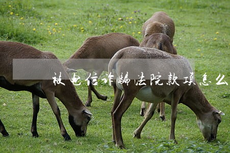 被电信诈骗法院款项怎么退 被电信诈骗法院款项怎么退