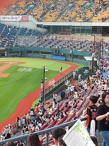 被电动车撞骨折请律师代理好吗 被电动车撞骨折请律师代理好吗