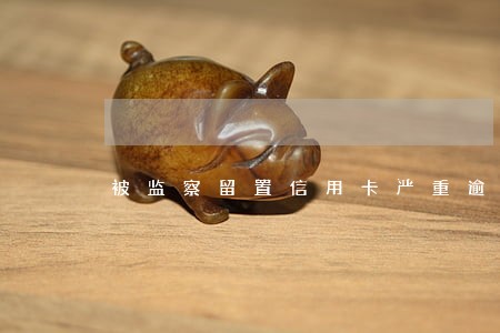 被监察留置信用卡严重逾期后果 被监察留置信用卡严重逾期后果