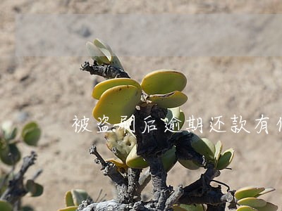 被盗刷后逾期还款有什么影响 被盗刷后逾期还款有什么影响