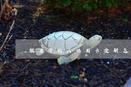被看守的人信用卡逾期怎么办 被看守的人信用卡逾期怎么办