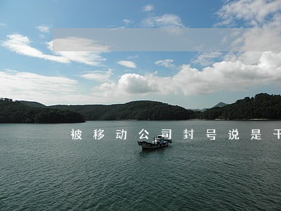 被移动公司封号说是干违法的事 被移动公司封号说是干违法的事