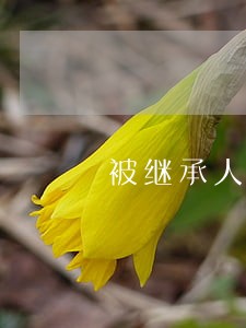 被继承人债务清偿纠纷律师选哪家 被继承人债务清偿纠纷律师选哪家
