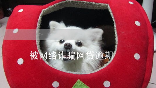 被网络诈骗网贷逾期 被网络诈骗网贷逾期