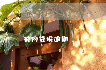 被网贷报逾期 被网贷报逾期