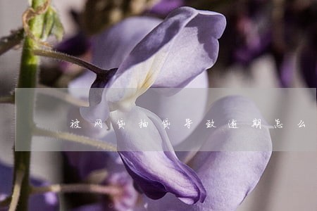 被网贷抽贷导致逾期怎么办 被网贷抽贷导致逾期怎么办
