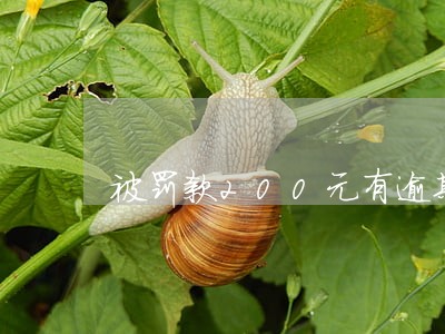 被罚款200元有逾期费吗