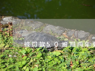 被罚款50逾期两年要罚多少 被罚款50逾期两年要罚多少