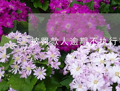 被罚款人逾期不执行罚款处罚的