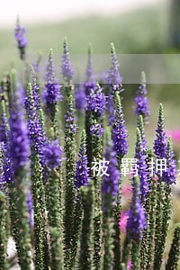 被羁押期间银行卡逾期 被羁押期间银行卡逾期