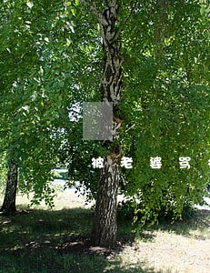 被老婆骂会离婚吗 被老婆骂会离婚吗
