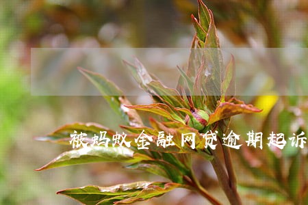 被蚂蚁金融网贷逾期起诉 被蚂蚁金融网贷逾期起诉