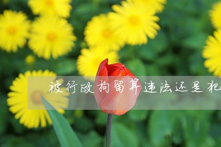 被行政拘留算违法还是犯罪