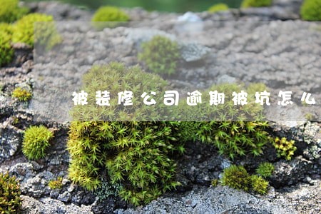 被装修公司逾期被坑怎么去举报 被装修公司逾期被坑怎么去举报