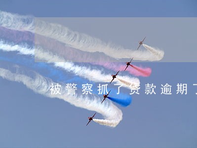 被警察抓了贷款逾期了 被警察抓了贷款逾期了