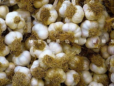 被警察抓信用卡逾期怎么处理 被警察抓信用卡逾期怎么处理