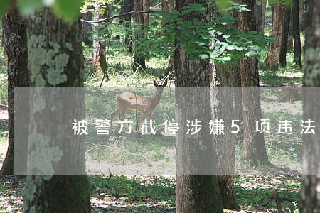 被警方截停涉嫌5项违法