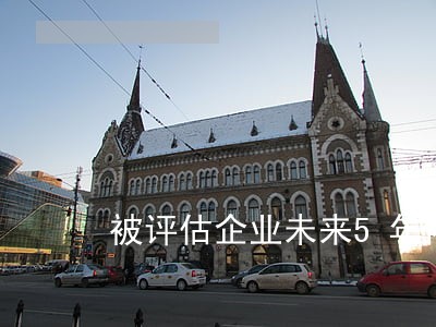 被评估企业未来5年内的逾期