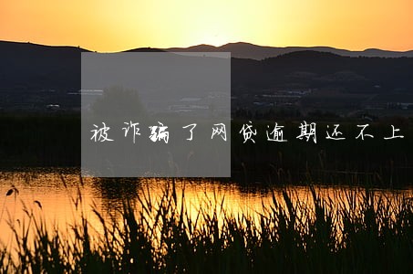 被诈骗了网贷逾期还不上 被诈骗了网贷逾期还不上