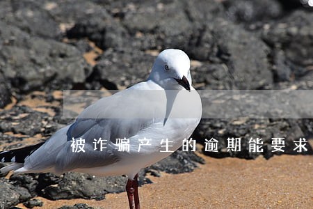 被诈骗产生的逾期能要求撤销么 被诈骗产生的逾期能要求撤销么