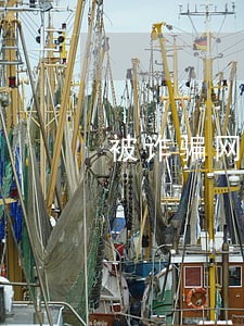被诈骗网贷逾期没钱还怎么办 被诈骗网贷逾期没钱还怎么办