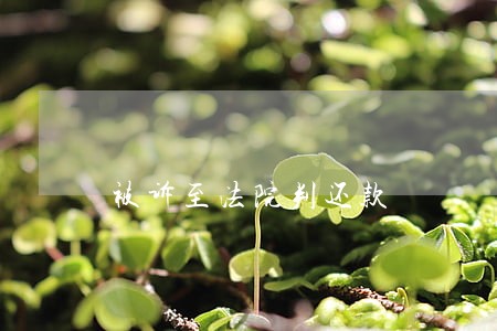 被诉至法院判还款 被诉至法院判还款