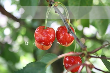 被诉讼保全了 被诉讼保全了