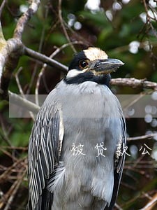 被贷款公司恶意逾期 被贷款公司恶意逾期