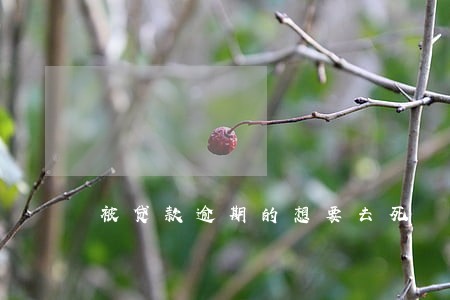 被贷款逾期的想要去死 被贷款逾期的想要去死