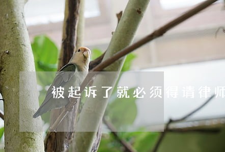 被起诉了就必须得请律师了吗 被起诉了就必须得请律师了吗