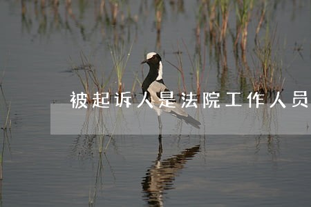 被起诉人是法院工作人员 被起诉人是法院工作人员