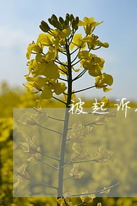 被起诉人电话关机法院怎么办