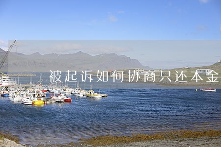 被起诉如何协商只还本金 被起诉如何协商只还本金
