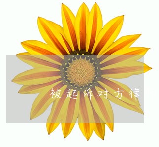 被起诉对方律师会找我吗 被起诉对方律师会找我吗