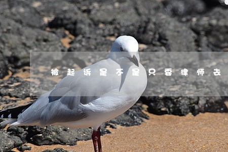 被起诉是不是只要律师去就可以 被起诉是不是只要律师去就可以