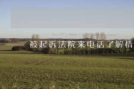被起诉法院来电话了解情况 被起诉法院来电话了解情况