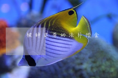 被辞退劳动法补偿金 被辞退劳动法补偿金