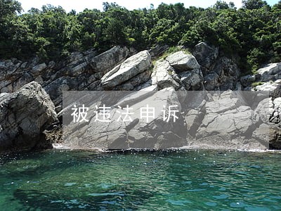 被违法申诉 被违法申诉
