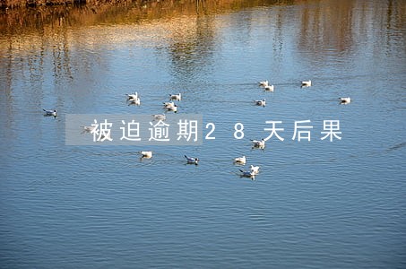被迫逾期28天后果 被迫逾期28天后果